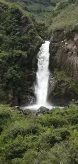 Tall waterfall in lush jungle setting, surrounded by greenery.