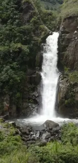 Tranquil waterfall flowing amidst lush greenery.