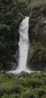 Majestic waterfall surrounded by lush greenery in nature.