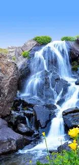 Tranquil waterfall flowing over rocks with yellow flowers and blue sky.