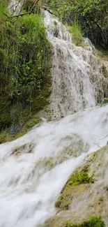 Serene waterfall cascading over mossy rocks and lush greenery.