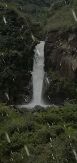 Serene waterfall in lush green forest mobile wallpaper.