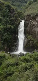 A serene waterfall amidst lush greenery