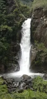 Beautiful waterfall surrounded by lush green forest.