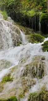 Serene waterfall cascading through green forest scenery.