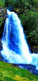 A vibrant waterfall cascades amid lush green forest.