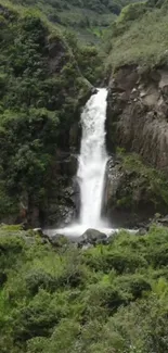 Mobile wallpaper of a serene waterfall in lush greenery.