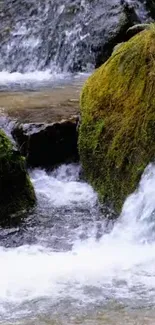 Serene waterfall amid lush green moss and flowing water.