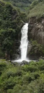 Serene waterfall surrounded by lush greenery and rocky formations.