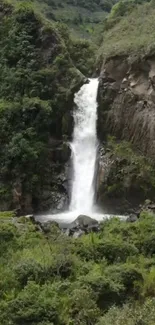 A serene waterfall cascading amidst lush green landscape.