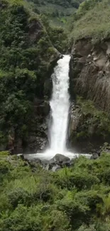 Serene waterfall cascading through lush green landscape.