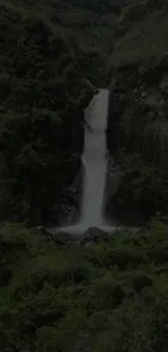 Serene waterfall amidst lush green scenery.