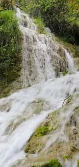 Serene waterfall in lush green forest.