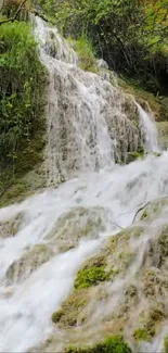 Cascading waterfall over mossy rocks and lush greenery.