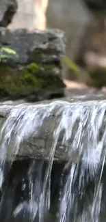 Serene waterfall flowing over mossy rocks.