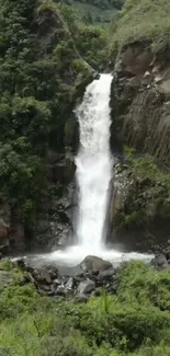 Mobile wallpaper of a serene waterfall cascading among lush greenery.