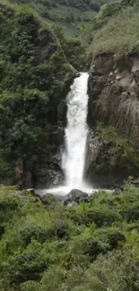 A serene mobile wallpaper of a waterfall amidst lush greenery.