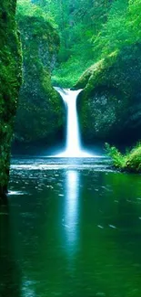 Serene waterfall with lush green surroundings in a tranquil mobile wallpaper.