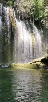 Serene waterfall with lush greenery and tranquil waters.