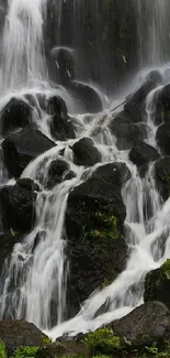 Serene waterfall cascading over rocks surrounded by lush green foliage.