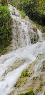 Serene waterfall amidst lush greenery wallpaper.