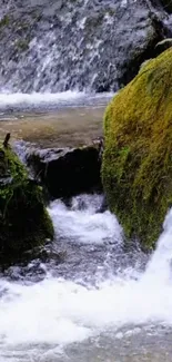 Mobile wallpaper of a serene waterfall amidst moss-covered rocks.