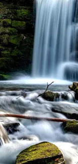 Serene forest waterfall with mossy rocks.