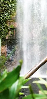 Serene waterfall with lush green foliage and cascading water.