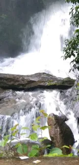 Serene waterfall with lush greenery and cascading water.