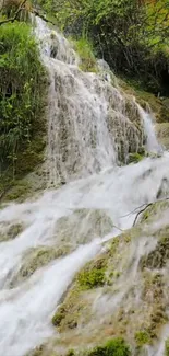 Mobile wallpaper with a serene waterfall and mossy rocks.