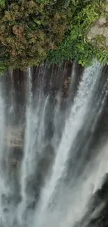 Lush green landscape with cascading waterfall.