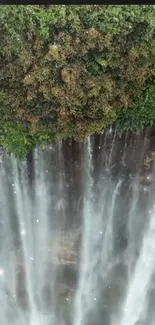 Waterfall cascading through lush green forest.