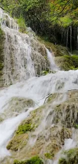 Serene waterfall over mossy rocks with lush greenery.