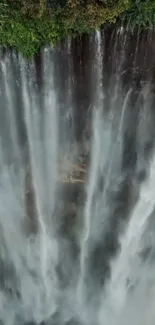 Aerial view of cascading waterfall and lush greenery.