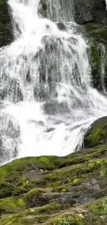 Serene waterfall flowing over mossy rocks.