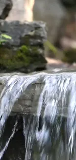 Serene waterfall over mossy rocks mobile wallpaper.