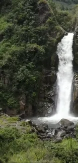 Serene waterfall surrounded by lush green scenery.