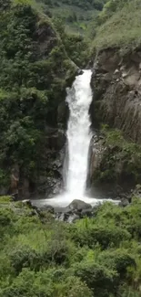 A serene waterfall amidst lush green scenery on a mobile wallpaper.