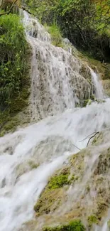 Mobile wallpaper of a serene waterfall with lush greenery and cascading water.