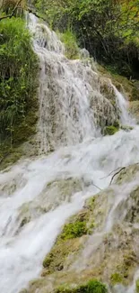 A serene waterfall in a lush green forest.