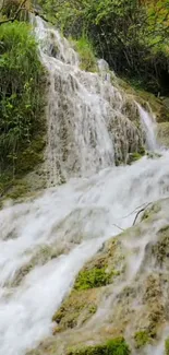 Serene waterfall amidst lush green moss and rocks.