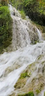 Waterfall cascading over mossy rocks in a lush green forest.