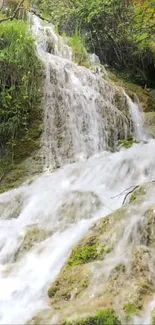 Beautiful waterfall cascading over green moss.