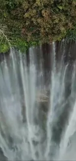 Serene aerial view of a waterfall cascading through lush greenery.