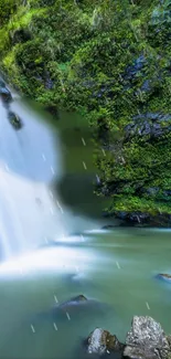 Lush green waterfall mobile wallpaper with serene, cascading water.