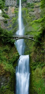 Stunning waterfall with bridge and lush greenery, perfect for mobile wallpaper.