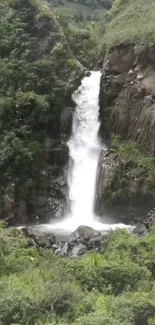 Serene waterfall with lush greenery in a natural setting.