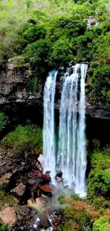 A vertical waterfall flows amidst lush green foliage.