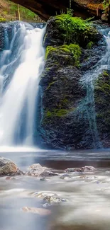 Serene waterfall amidst lush green forest.