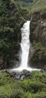 Waterfall surrounded by lush greenery in a serene nature scene.